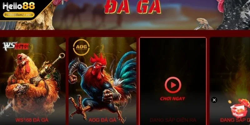 Đá Gà Hello88 Khám Phá Thế Giới Đấu Chọi Trực Tuyến Hấp Dẫn 2 da-ga-hello88-tong-quan-cho-tan-binh